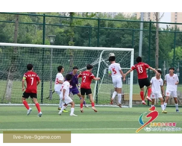 足球比赛178现场直播精彩回顾全程解析精彩瞬间与赛后分析